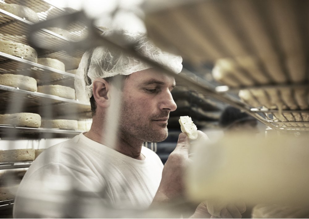 Cheese factory Bernd Widauer - Wein am Berg 2014
