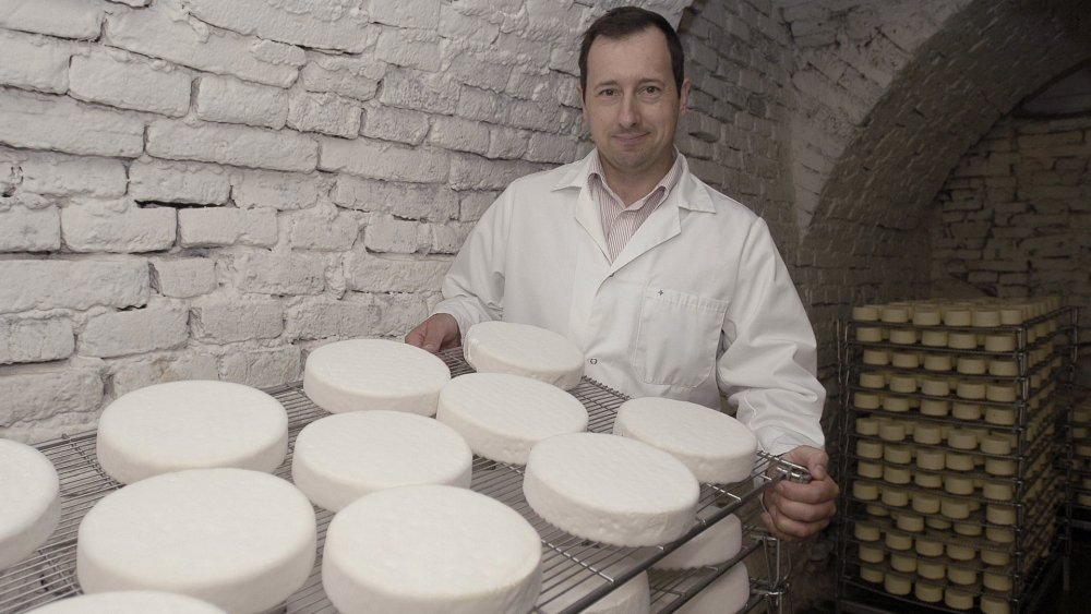 Cheese dairy Deutschmann at Wein am Berg 2016