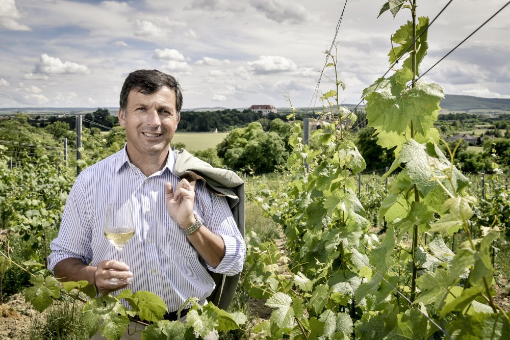 Weingut Grad Hardegg - Maximilian Hardegg