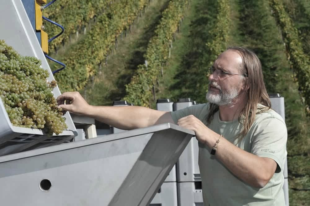 Wine estate Ewald Zweytick - Wein am Berg 2015