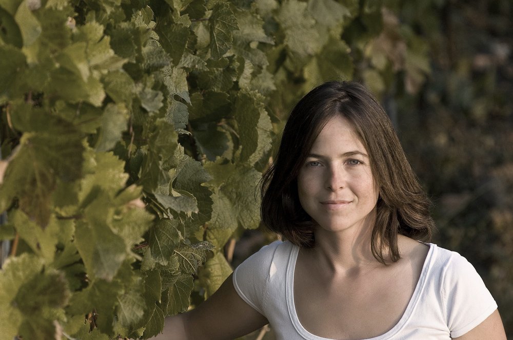 Wine estate Ingrid Groiss - Wein am Berg 2015