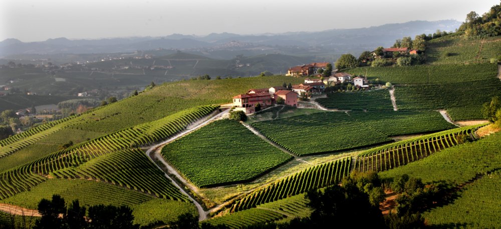 Wine estate Prunotto from Italy