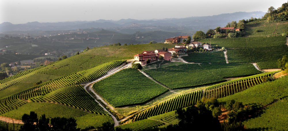 Weingut Prunotto aus Italien