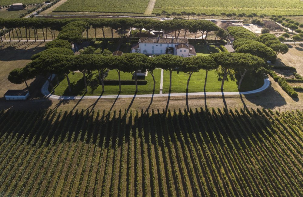 Weingut Tenuta Guado als Tasso