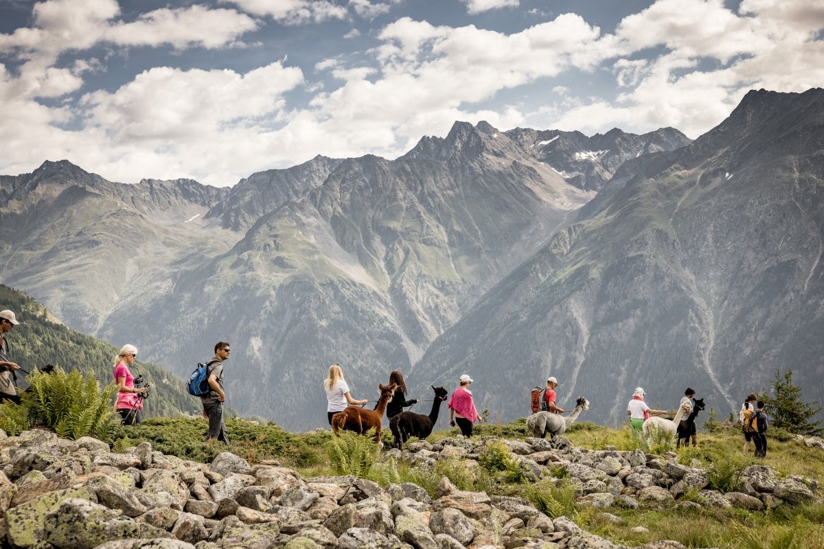 Alpakawanderung in Sölden