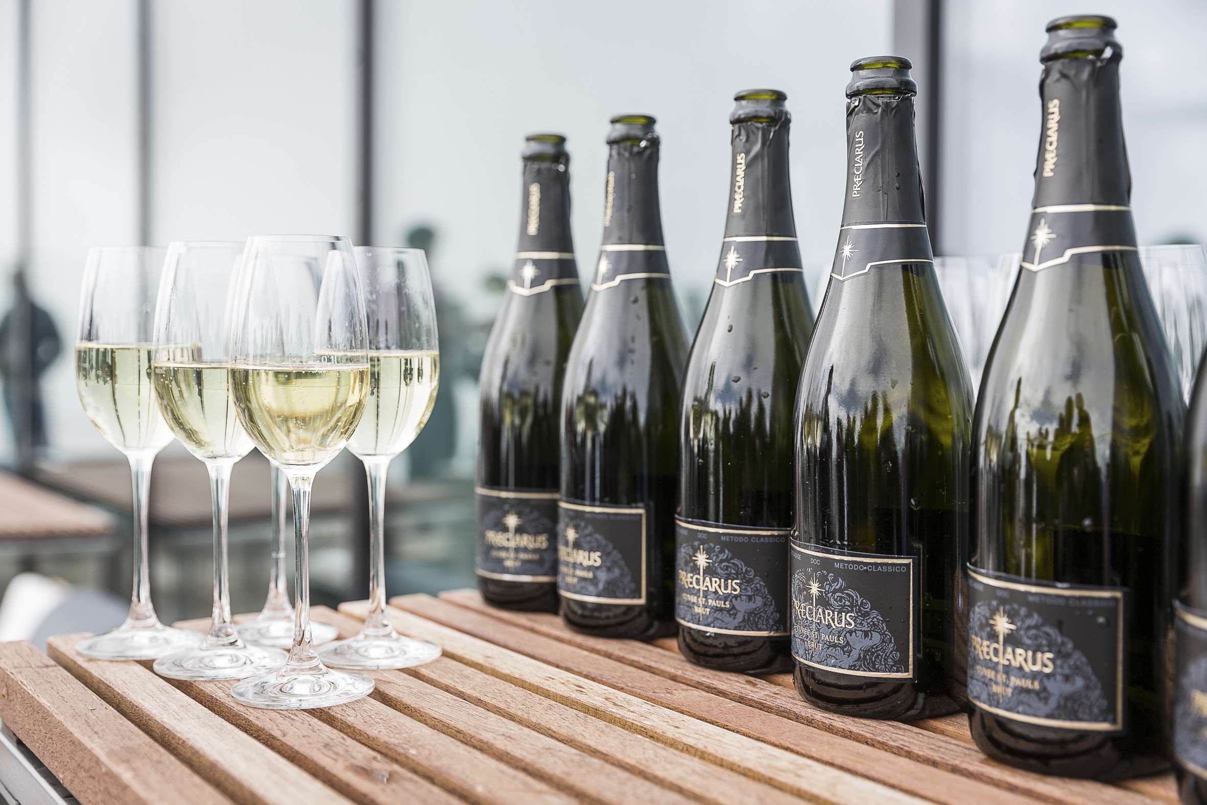 Wine tasting - Wein am Berg 2013