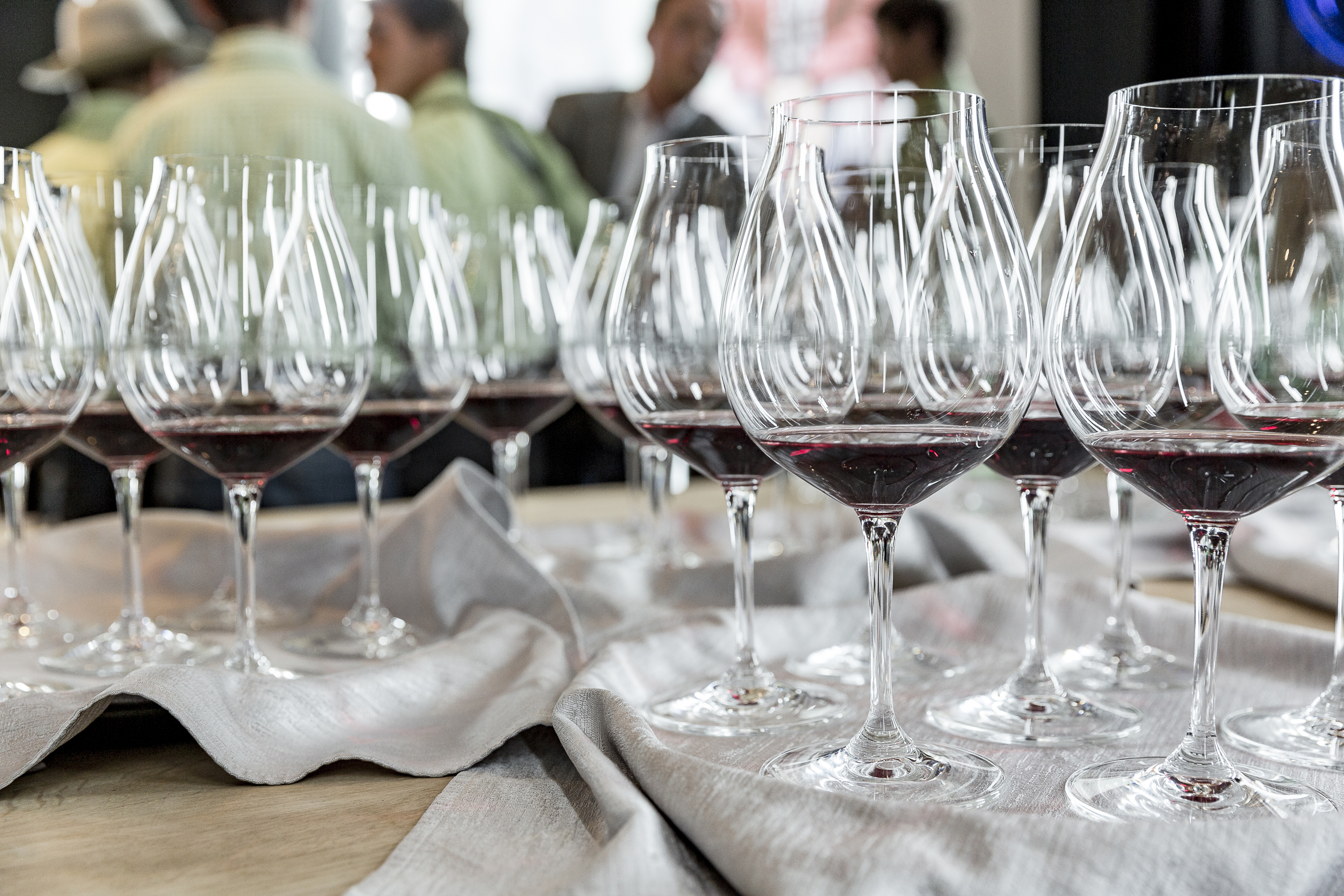 Weinverkostung - Wein am Berg 2011